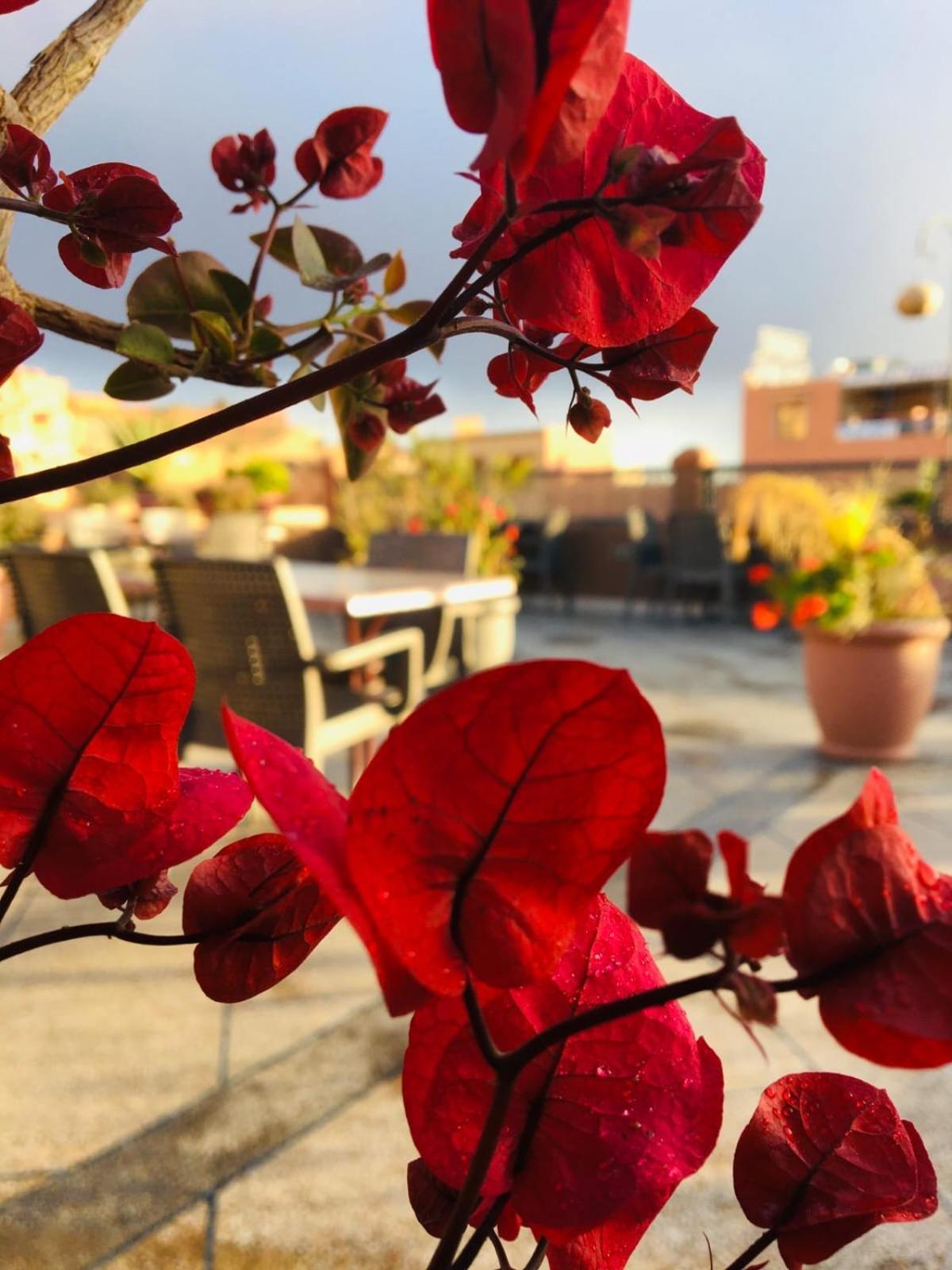 Hotel Riad Atlas Dades Boumalne Dades Екстер'єр фото